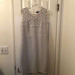 Ann Taylor Business Dress